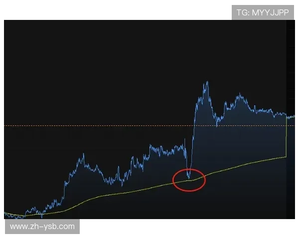 机构指数高水暗示冷门，里尔让球平负选项受热捧